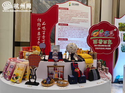 共謀發(fā)展愿景 東盟產(chǎn)業(yè)合作區(qū)百色片區(qū)投資管理座談會在杭州舉行